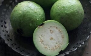 Guava for health